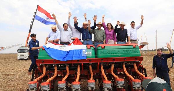 La Nación / Campaña sojera apunta a cosechar 11 millones de toneladas en 2024