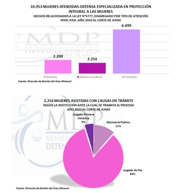 Cerca de 11.000 mujeres víctimas de violencia recibieron asistencia de la Defensa Pública
