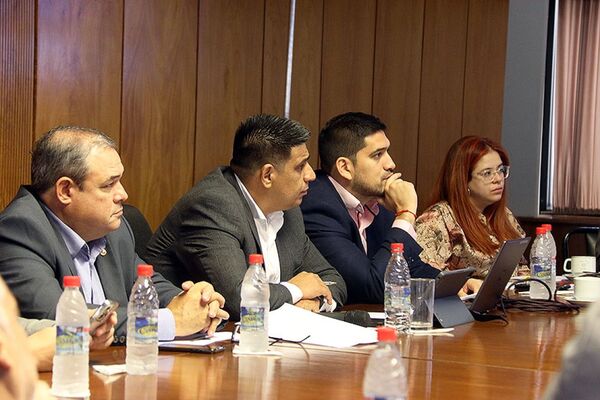 Debaten en Diputados la posibilidad de Alianzas Público Privadas para la construcción de hidroeléctricas - El Trueno