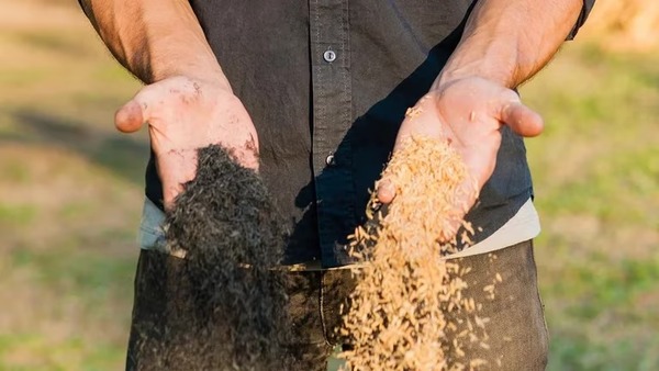 Joven argentino crea carbón con cáscara de arroz y abrirá una de sus fábricas en Paraguay