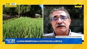 Video: lluvias benefician a cultivos de la época  - Factor Clave - ABC Color