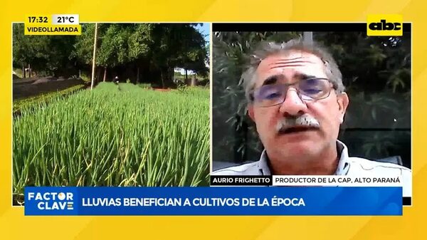 Video: lluvias benefician a cultivos de la época - Factor Clave - ABC Color