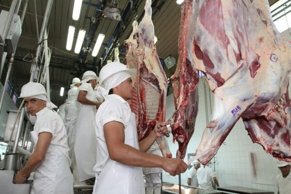 Senacsa destaca exportación de cerca de 220.000 toneladas de carne bovina