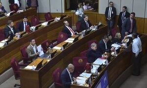 Cámara de Senadores aprobará ley que deroga el arancel consular - Política - ABC Color