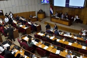 Comisión dictamina en mayoría en contra sobre reducir el monto límite por robos menores - Política - ABC Color
