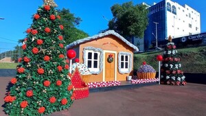 Espíritu navideño ya invade CDE con adornos a base de objetos reciclados