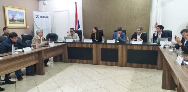 REDIEX se enfocará en atraer más inversiones industriales para Alto Paraná