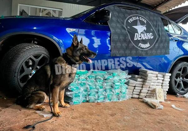 Detienen a paraguayo con un lujoso BMW que estaba rellenado con cocaína y crack – Diario TNPRESS