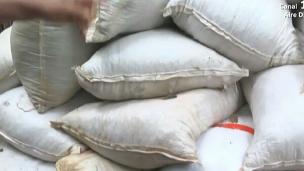 Canindeyú: Policía encuentra carga de marihuana durante rastrillaje en busca de Macho