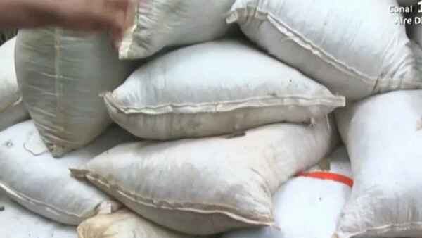 Canindeyú: Policía encuentra carga de marihuana durante rastrillaje en busca de Macho