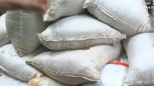 Canindeyú: Policía encuentra carga de marihuana durante rastrillaje en busca de Macho