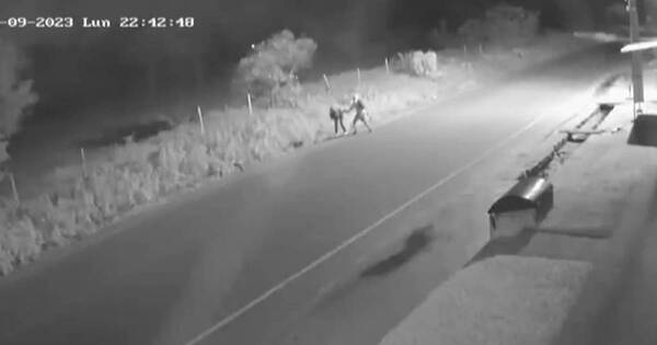 La Nación / Joven luqueña se resistió a un asalto y recibió fuertes golpes en la cabeza