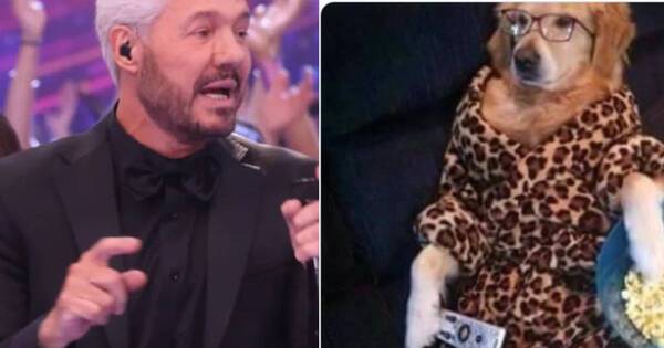 La Nación / Los memes acapararon las redes tras el estreno del “Bailando 2023″