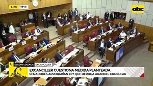 Video: Excanciller cuestiona medida planteada - ABC Noticias - ABC Color