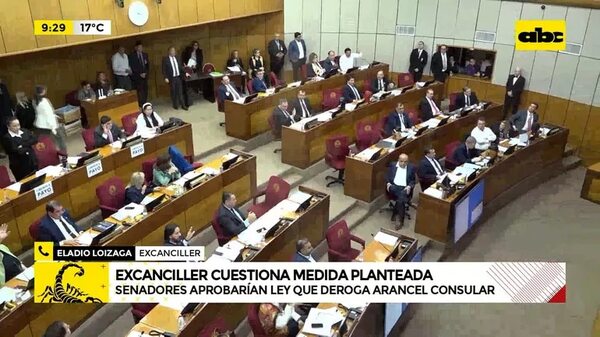 Video: Excanciller cuestiona medida planteada - ABC Noticias - ABC Color