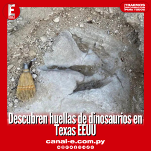 Descubren huellas de dinosaurios en Texas EEUU