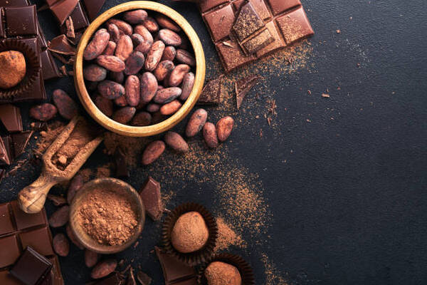 L铆deres del cacao impulsan producci贸n sostenible y rentable en Latinoam茅rica - Revista PLUS