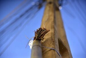 Prisión preventiva para dos hombres que intentaron robar cables y dejaron sin luz a una comunidad - Policiales - ABC Color