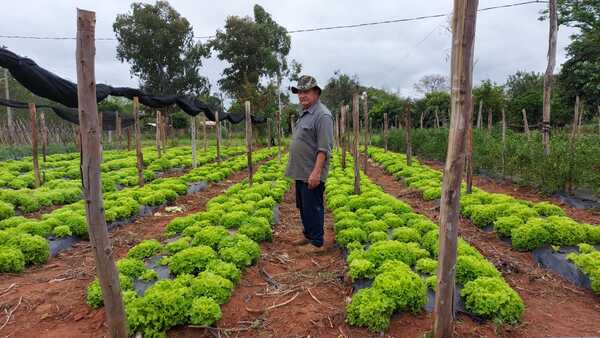 Familia sampedrana sale adelante mediante la producción de rubros hortícolas - .::RADIO NACIONAL::.