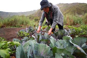 Aumentan un 2,86 % las ventas del sector agropecuario ecuatoriano en el primer semestre de 2023 - MarketData