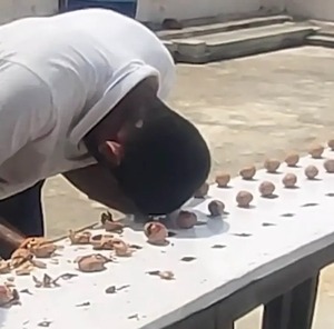 Nuevo Récord Guinness: un hombre rompió 273 nueces con la frente en 1 minuto