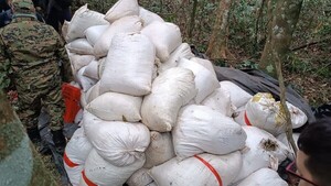 Hallan una tonelada de marihuana en busca de Macho en Britez Cué