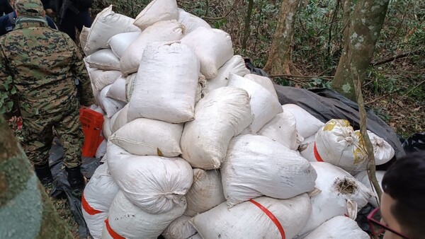 Hallan una tonelada de marihuana en busca de Macho en Britez Cué