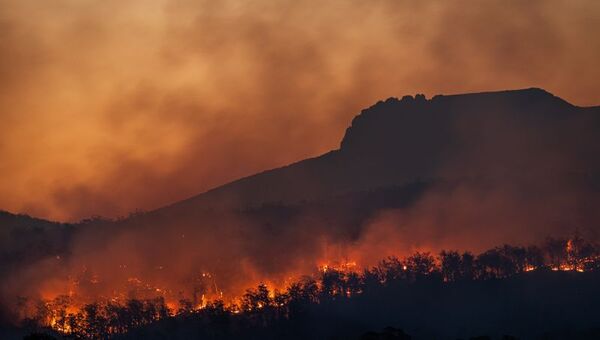 El 84% de los paraguayos considera que el cambio climático afecta sus vidas, según encuesta