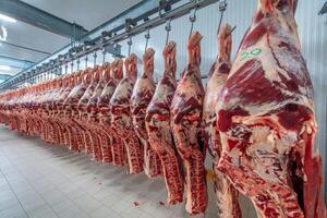 En agosto se exportó el mayor volumen de carne del año pero a un precio 7% menor