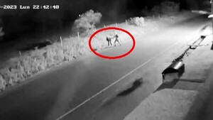 Pese a los cambios, Policía no logra disminuir los hechos de inseguridad