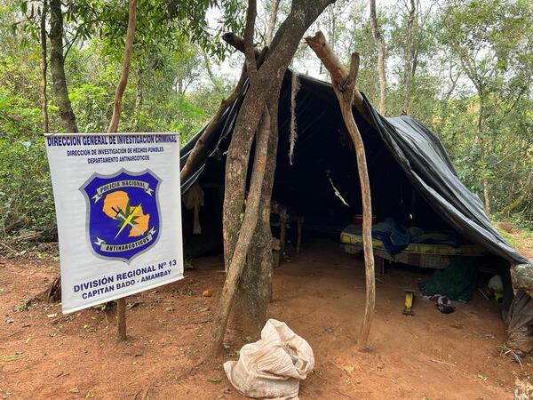 Antinarcóticos destruyó seis hectáreas de cultivos de marihuana en Capitán Bado