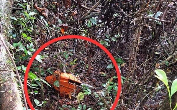 Caso del niño que murió en defensa de su madre: apuntan a una posible venganza - Noticiero Paraguay