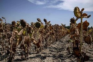 El planeta tuvo, con agosto, los tres meses seguidos más calientes desde que hay registros - Mundo - ABC Color