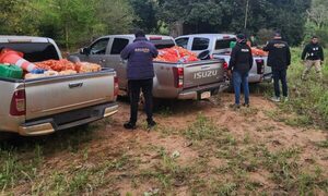 Funcionarios aduaneros decomisan cargas de contrabando ingresado de Argentina por Irala – Diario TNPRESS