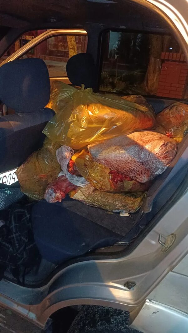 Dos personas fueron aprehendidas por supuesto hecho de abigeato en Ayolas - Nacionales - ABC Color