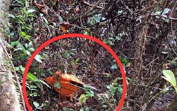 Caso del niño que murió en defensa de su madre en Caazapá: apuntan a una posible venganza – Prensa 5