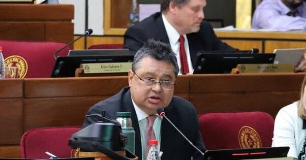 La Nación / Itaipú: ministros paraguayos se equiparan con los de Brasil, afirma senador