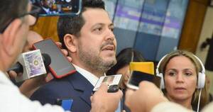 La Nación / Itaipú: “Los cargos son ad honorem y el aporte es la experiencia”, dice Latorre