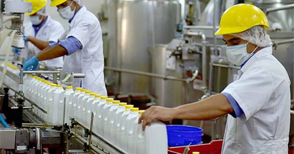 La Nación / Sector lácteo espera ganar más mercados de exportación