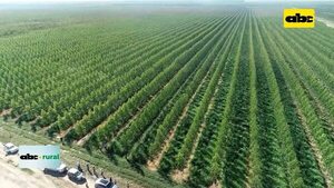 Video: CEA organizará congreso con una visión de integración total del Agro   - ABC Rural - ABC Color