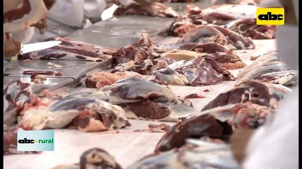 Video: esperan abrir EE.UU. a carne paraguaya antes de los 100 días del nuevo Gobierno - ABC Rural - ABC Color