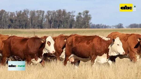 Video: Tecnología para identificar animales superiores - ABC Rural - ABC Color