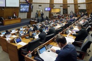Cámara Baja sancionó pedido de ampliación presupuestaria para la Fiscalía - El Trueno
