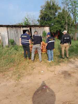 INCAUTAN BOLSAS DE CEBOLLA DE APARENTE CONTRABANDO EN PUERTO TRIUNFO