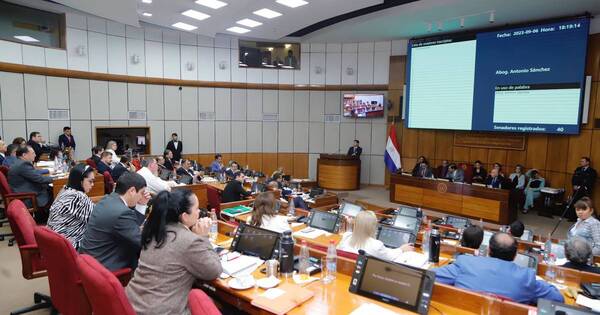 La Nación / Senado busca identificar a los responsables de las irregularidades en el IPS