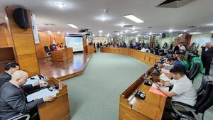 Abasto es declarado insano y Nenecho pide más presupuesto para pagar bonificación por insalubridad - Nacionales - ABC Color