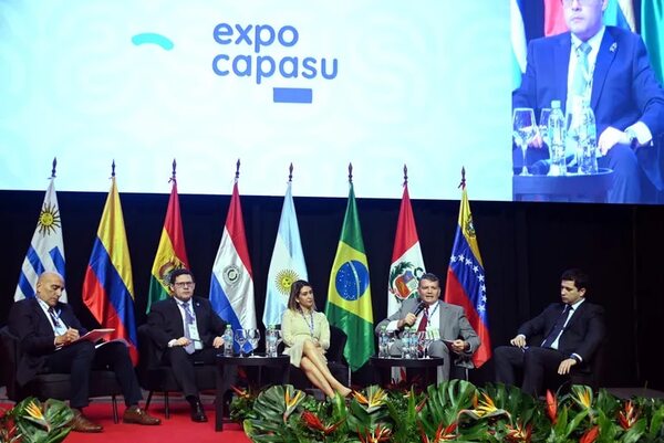 Reforma del Estado: presentarán plan de cambios para empresas públicas - Nacionales - ABC Color