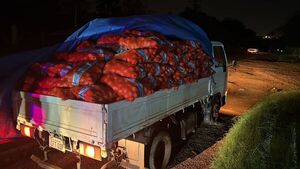 Diario HOY | Incautan gran cantidad productos frutihortícolas de contrabando