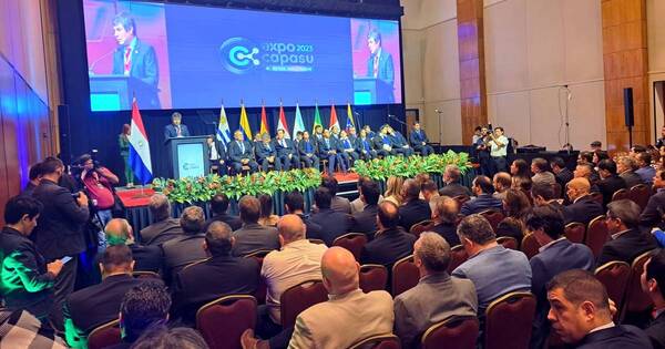 La Nación / Apoyo al sector privado es fundamental para el crecimiento económico