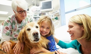 Terapias con perros | Telefuturo
